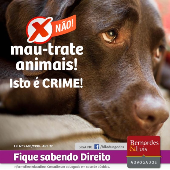 Não mau-trate animais! Isto é crime!